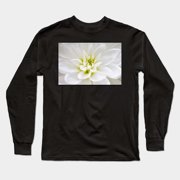 White Dahlia Long Sleeve T-Shirt by adrianbrockwell